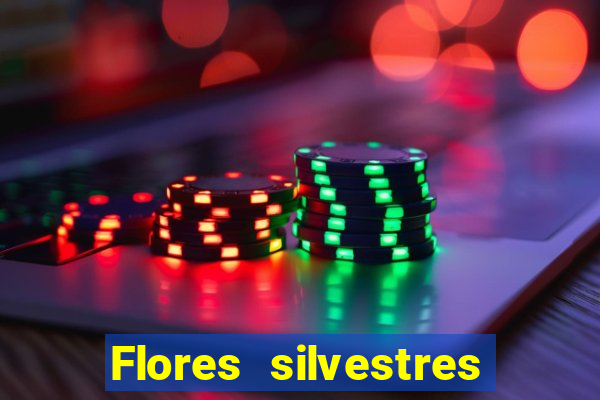 Flores silvestres brasileiras 25